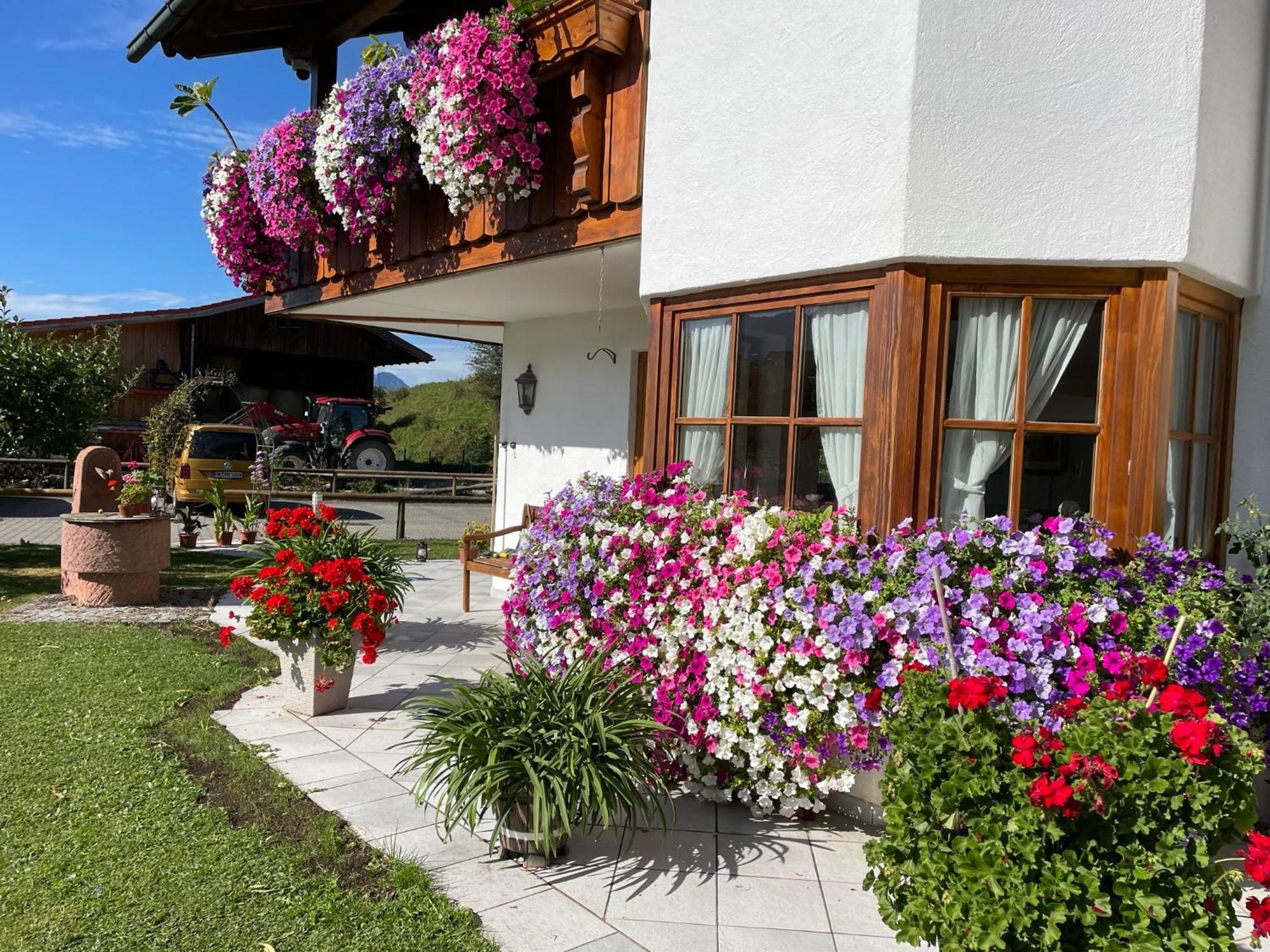 Gaestehaus Seeklause Schwangau Exteriér fotografie
