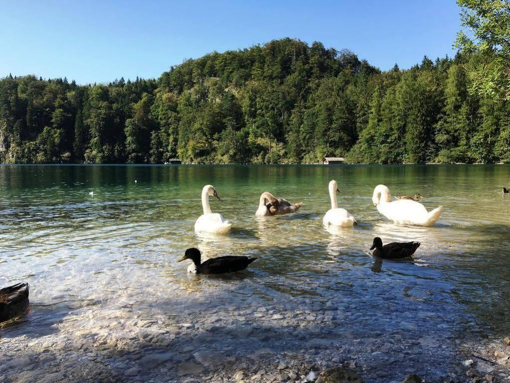 Gaestehaus Seeklause Schwangau Exteriér fotografie